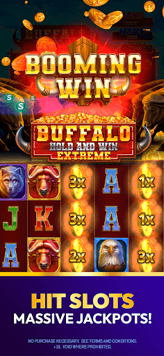 Sweeps Night - Social Casino screenshot 2 - screenshot