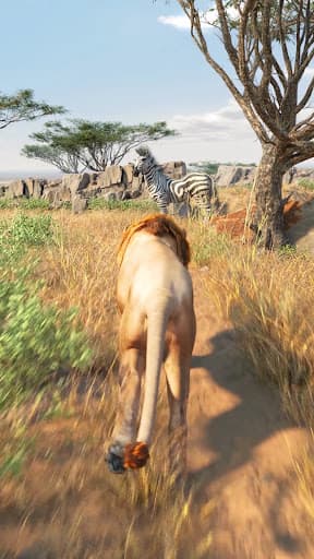 Lion Survival - Wild Beast Sim screenshot 8 - screenshot