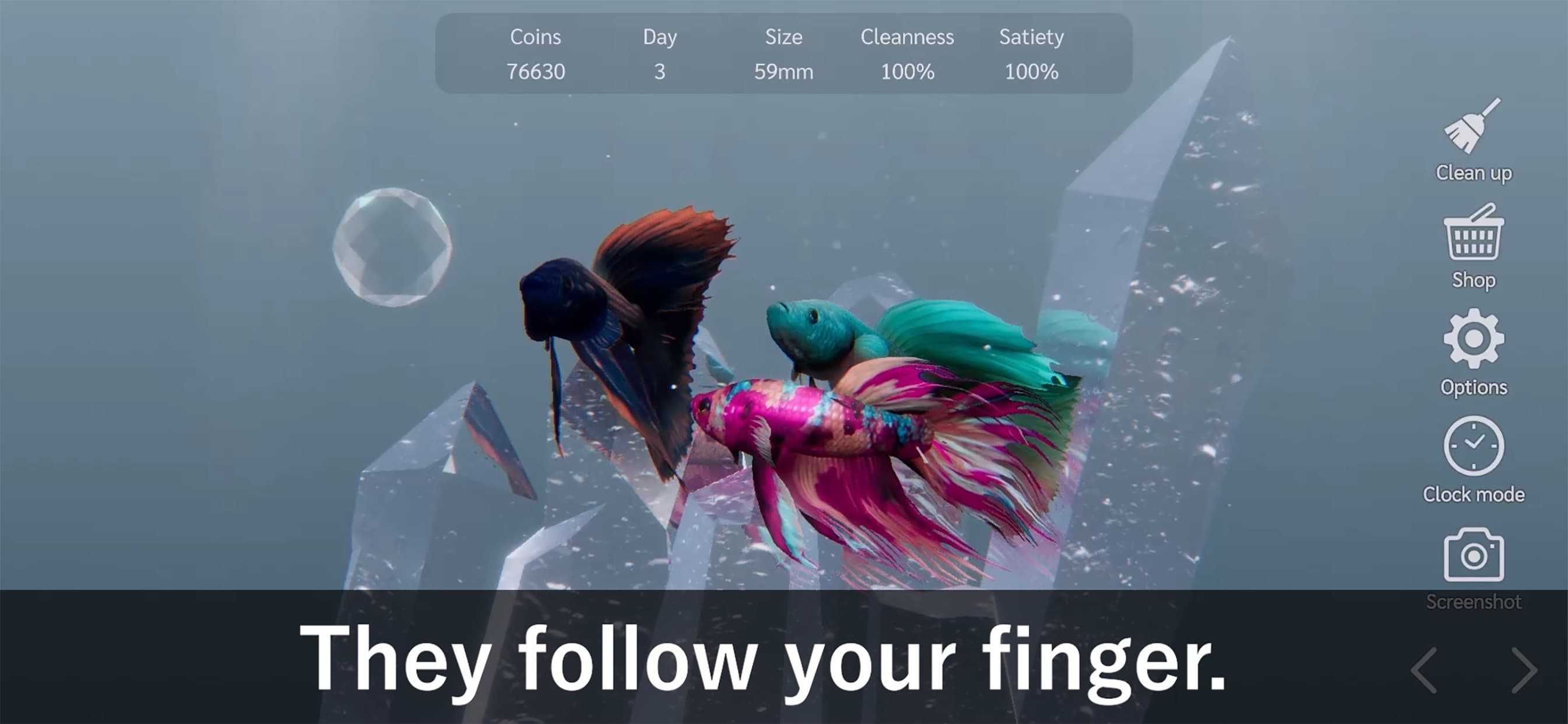 Bettarium - Betta Fish Tank screenshot 3 - screenshot