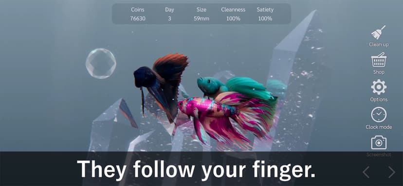 Bettarium - Betta Fish Tank screenshot 3 - screenshot