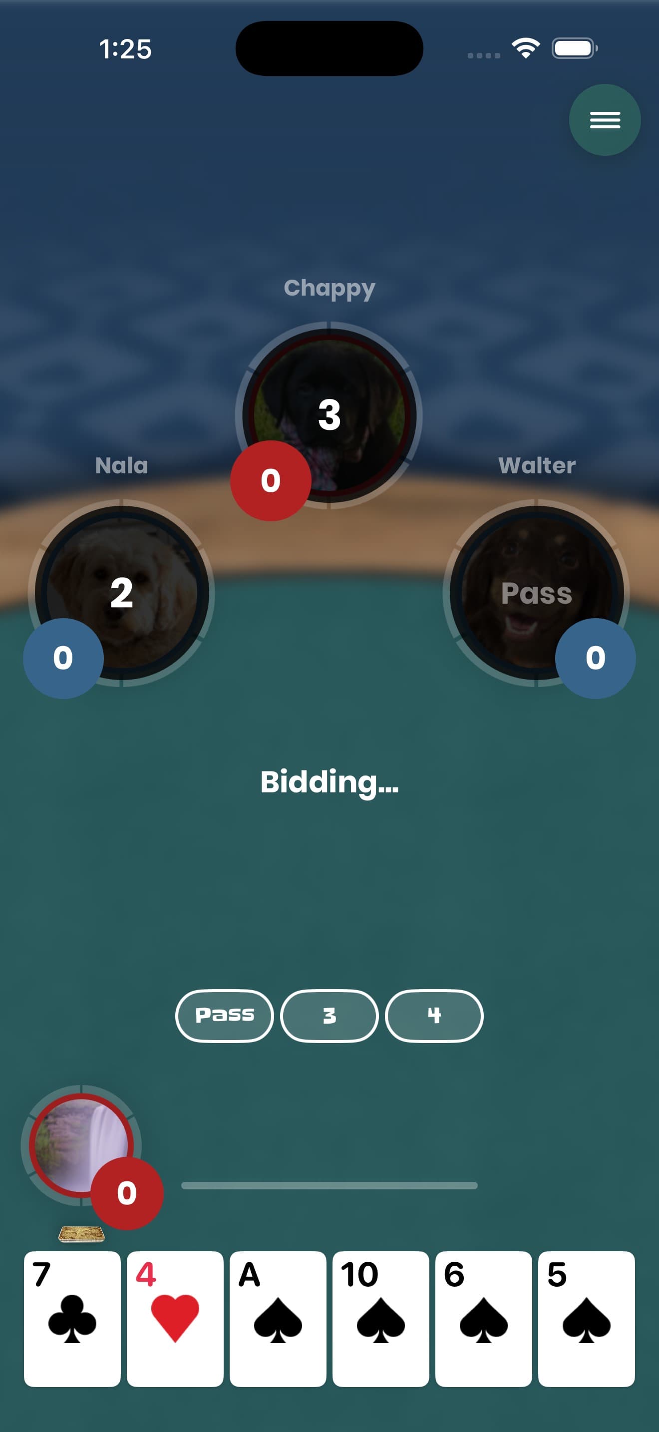 IPitch screenshot 3 - screenshot