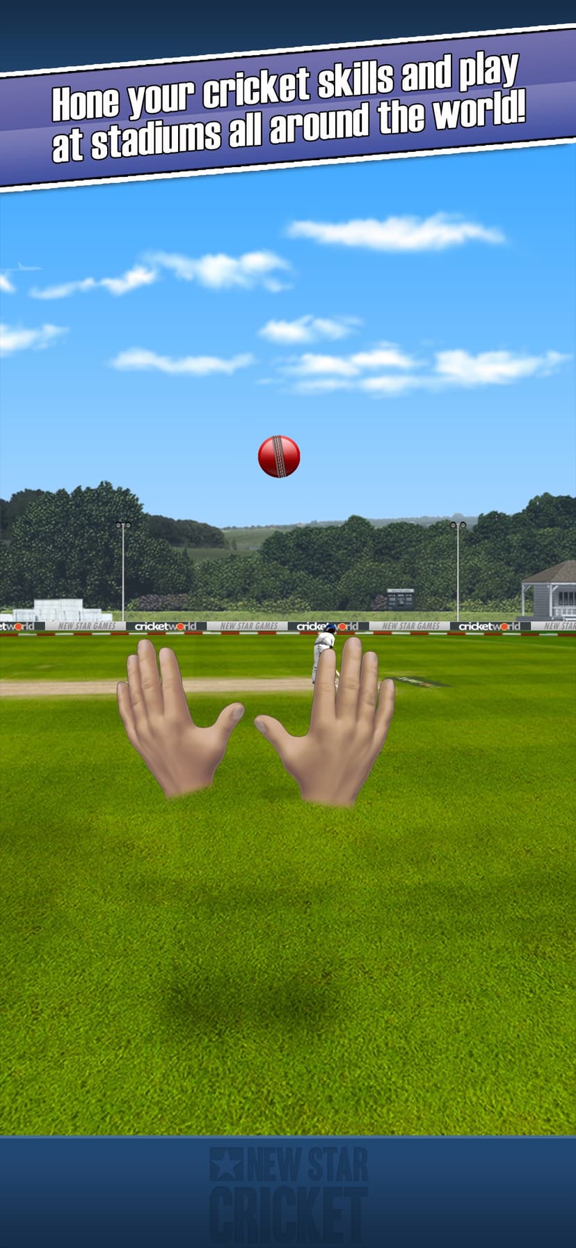 New Star Cricket screenshot 4 - screenshot