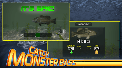 Master Bass: Fishing Games screenshot 8 - screenshot