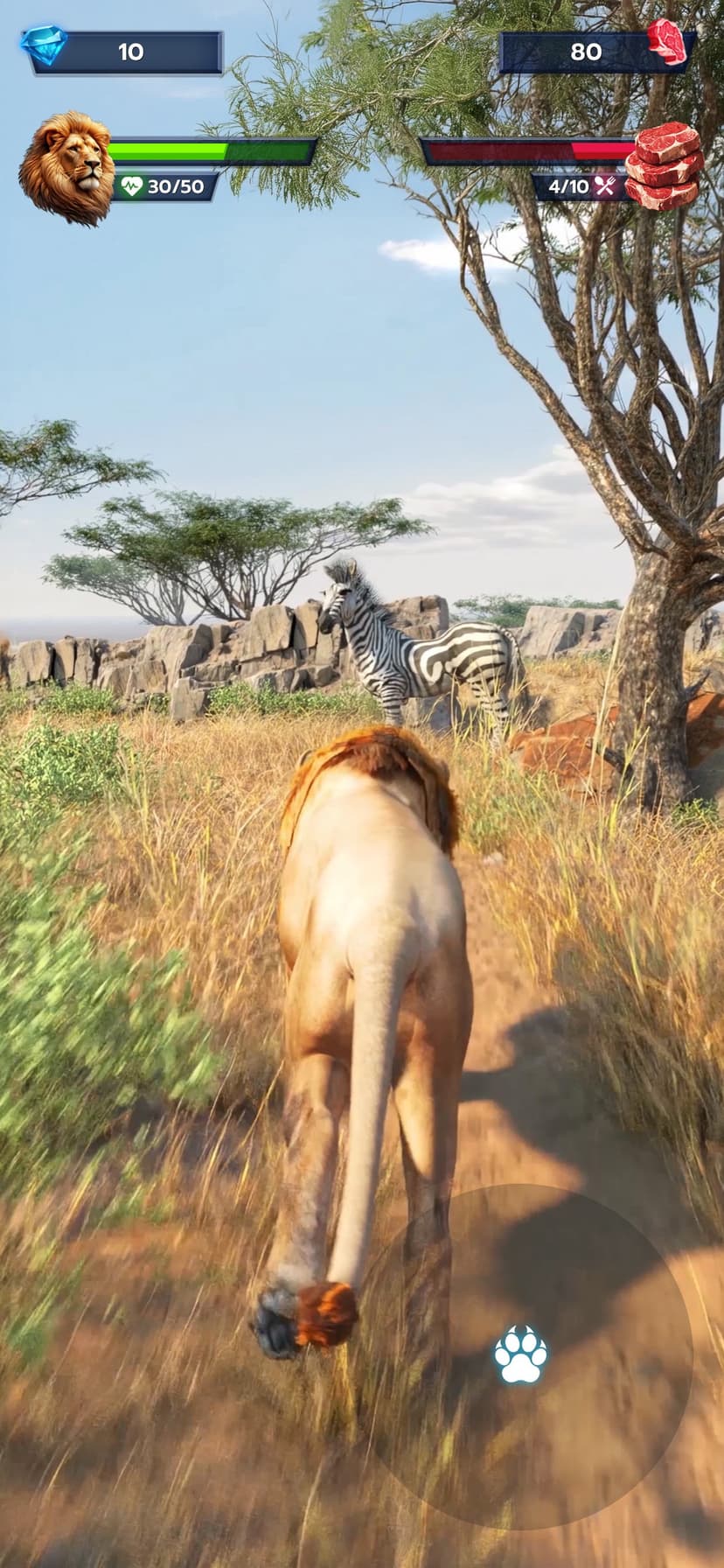 Lion Survival - Wild Beast Sim screenshot 1 - screenshot
