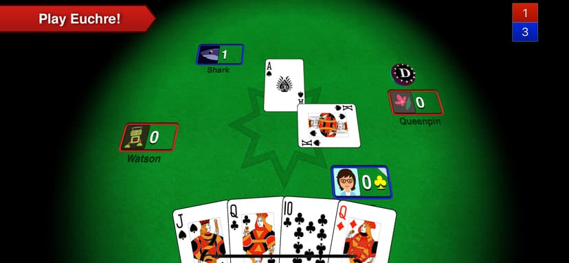 Euchre 3D screenshot 1 - screenshot