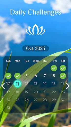 Jigmatch - Zen Puzzle screenshot 6 - screenshot