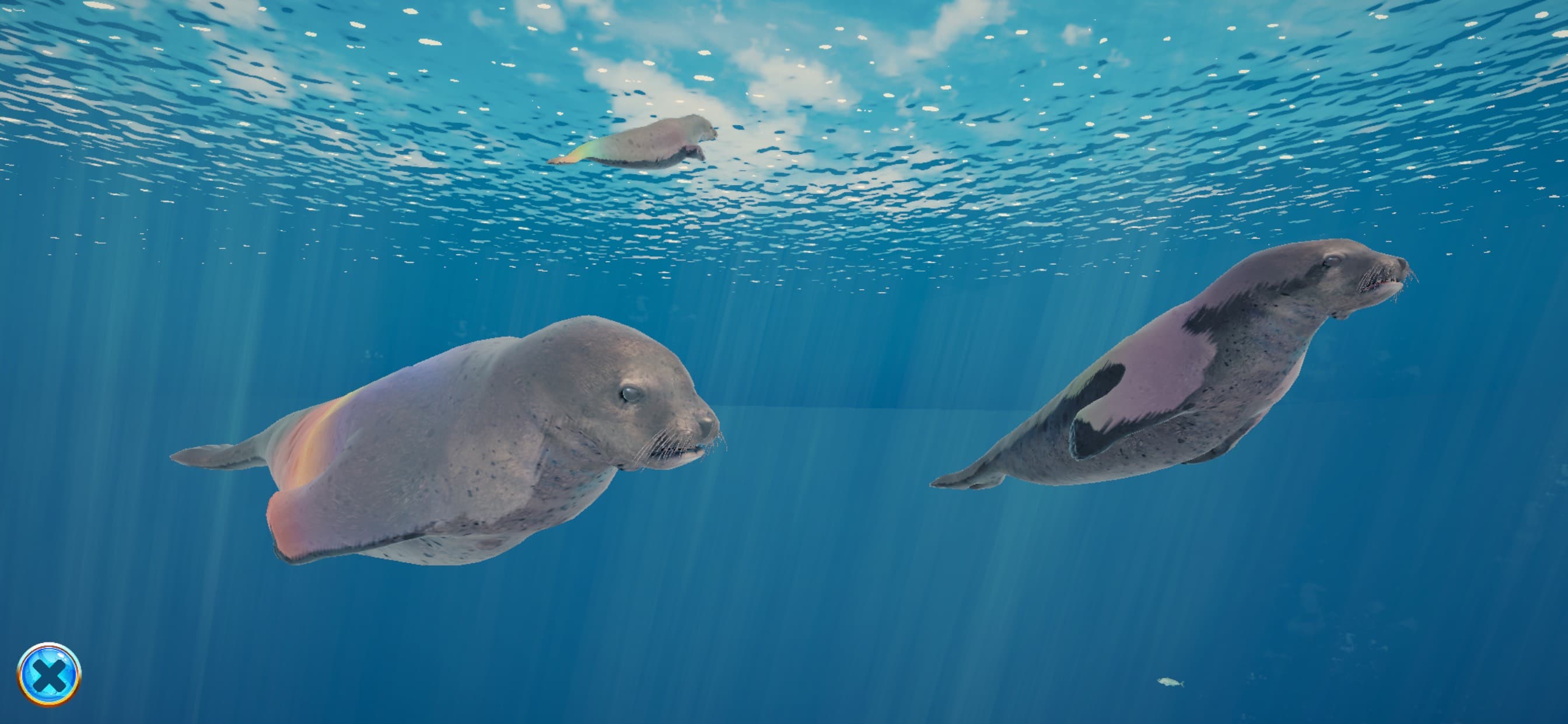 Seal Island screenshot 5 - screenshot