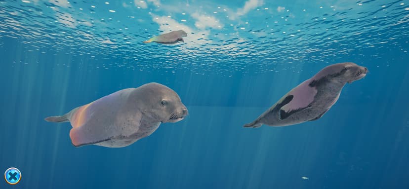 Seal Island screenshot 5 - screenshot