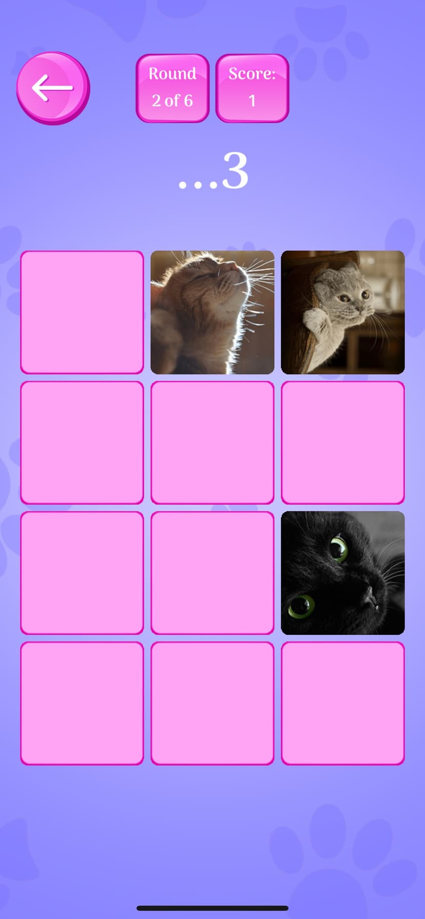 Cute Cats Memory Match Game screenshot 5 - screenshot