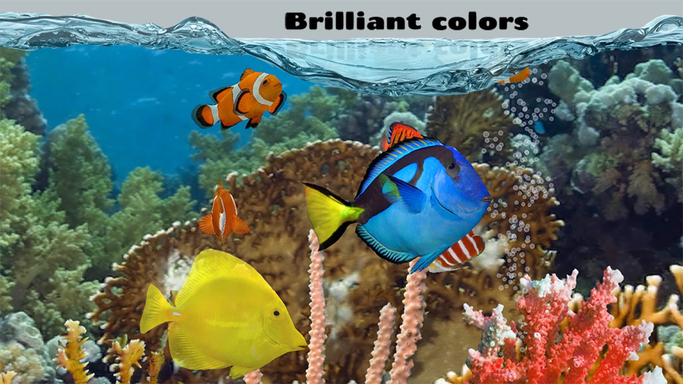 Fish Farm 2 screenshot 1 - screenshot