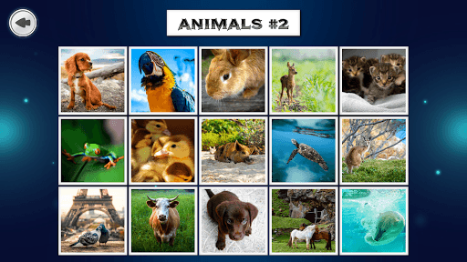 IMAGEine Premium screenshot 7 - screenshot