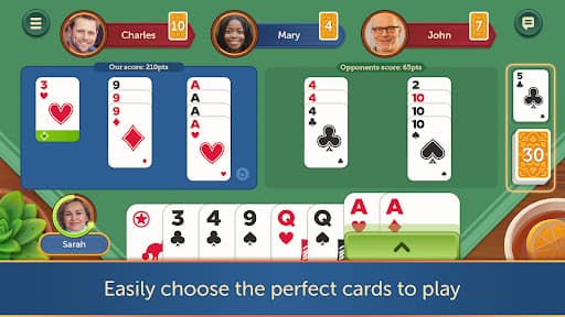 Canasta - Fun & Friends screenshot 12 - screenshot