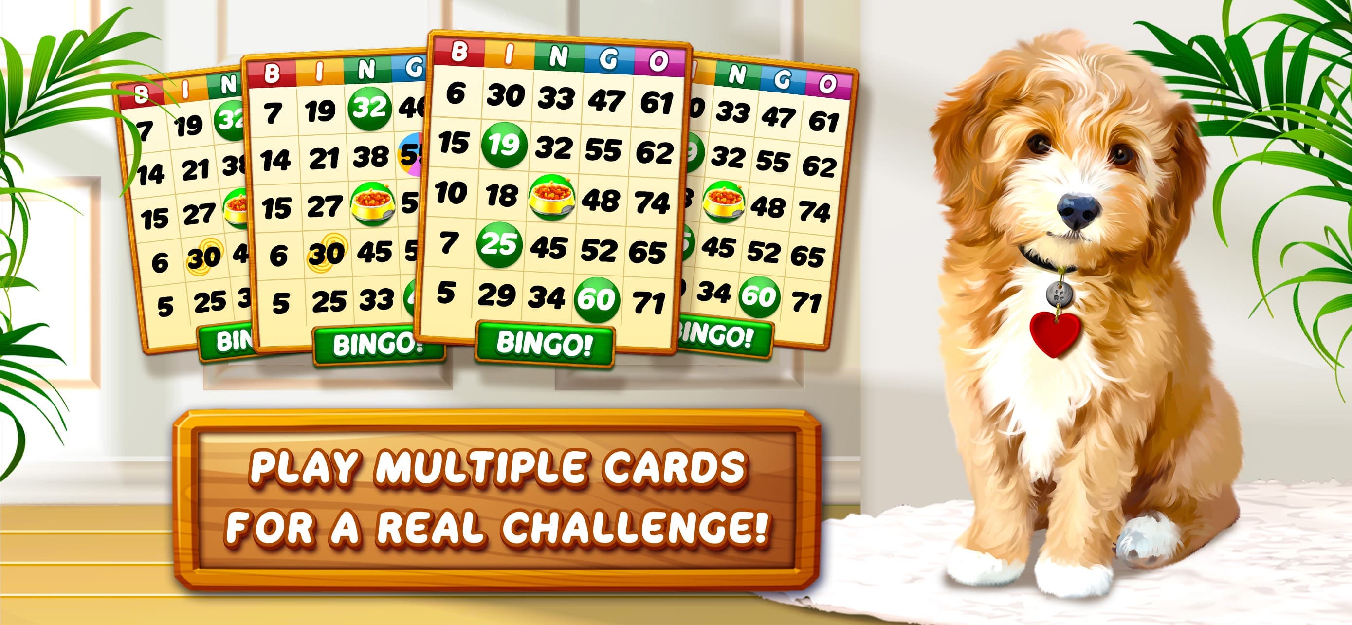 Bingo Dog - Fun Game 2024 screenshot 3 - screenshot