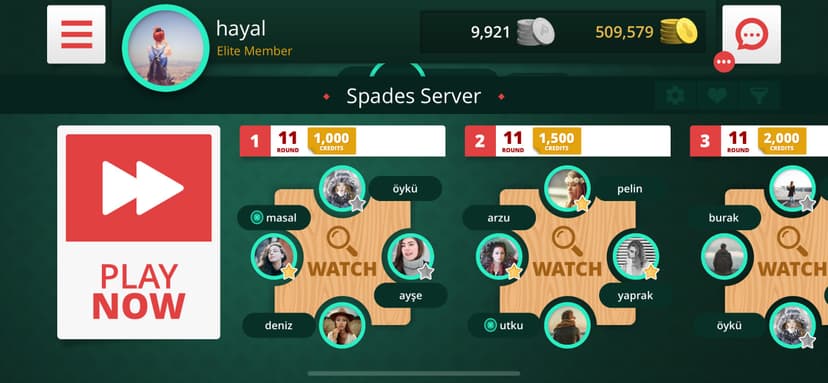 Spades Auction screenshot 4 - screenshot