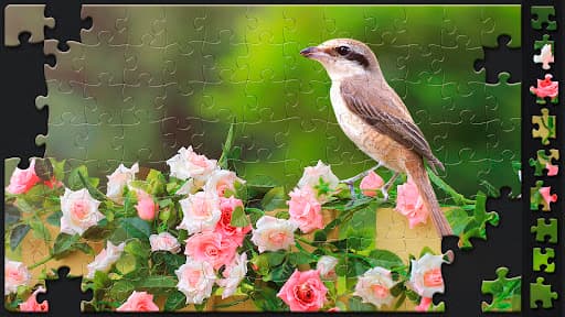 Jigsaw Puzzles for Adults screenshot 10 - screenshot