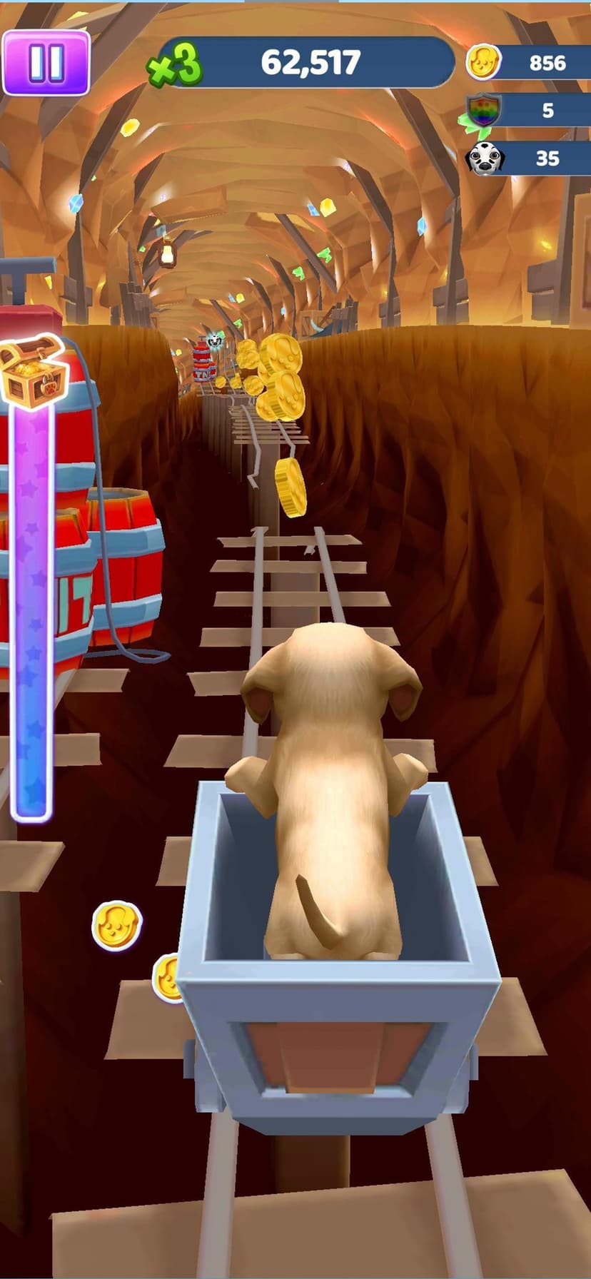 Pet Run - Puppy Dog Run Game screenshot 3 - screenshot