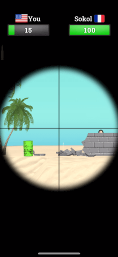 Shoot & Hide screenshot 2 - screenshot