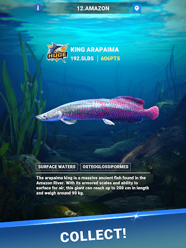 Fishing Travel screenshot 17 - screenshot