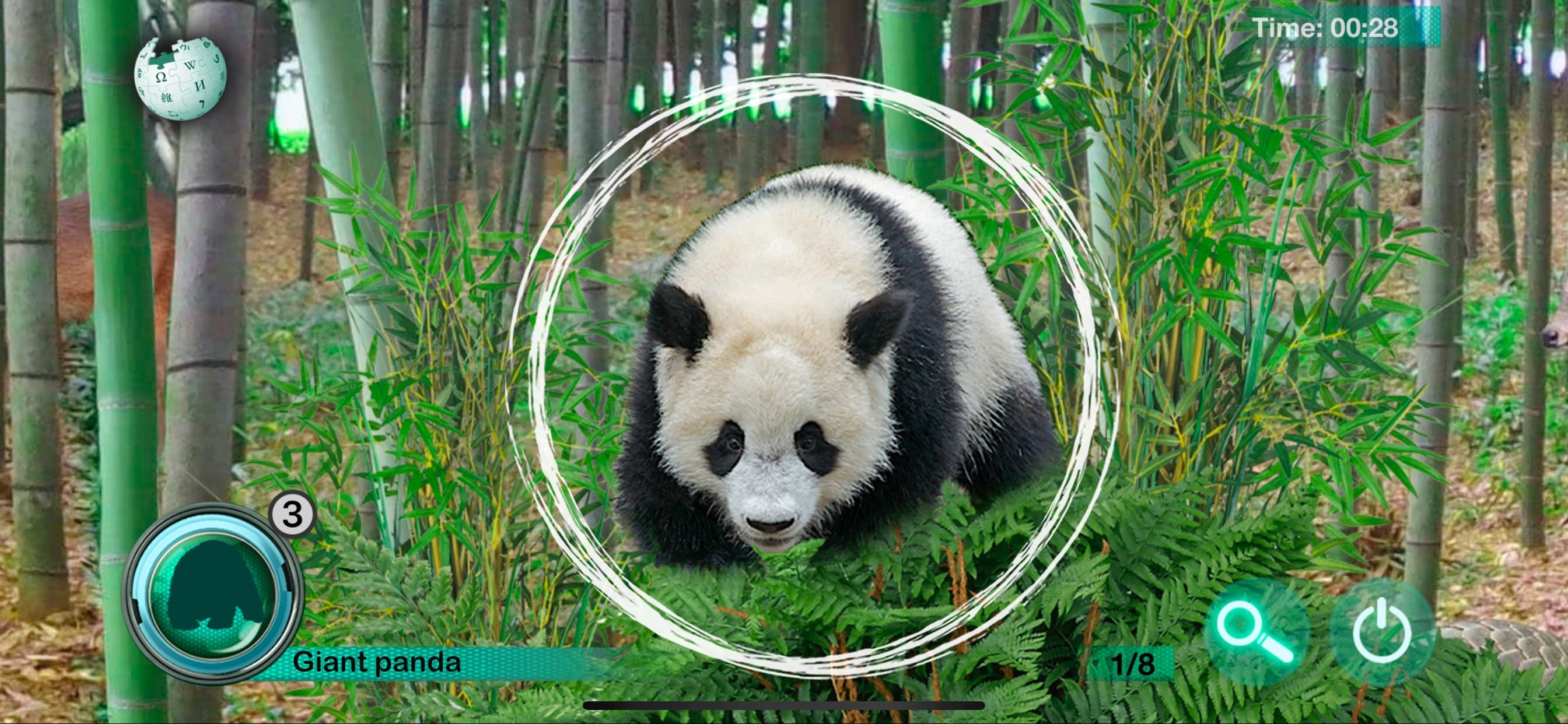 Hidden Animals: Seek and Find screenshot 1 - screenshot