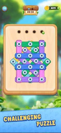 Wood Nuts And Bolts Puzzle screenshot 7 - screenshot