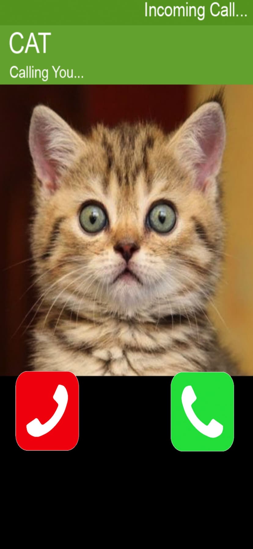 Call Cat 2 screenshot 4 - screenshot