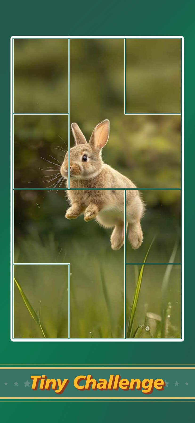 Jigsaw Puzzle Art: Relax Book screenshot 2 - screenshot