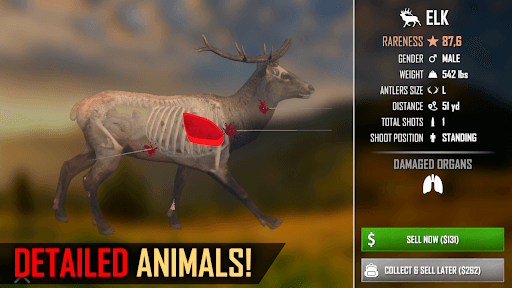 American Marksman screenshot 15 - screenshot