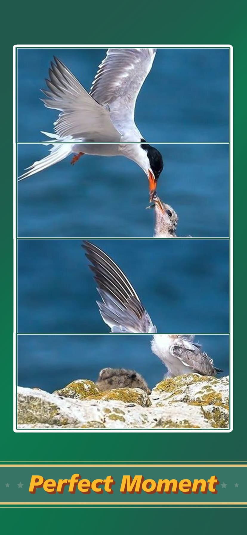 Jigsaw Puzzle Art: Relax Book screenshot 1 - screenshot