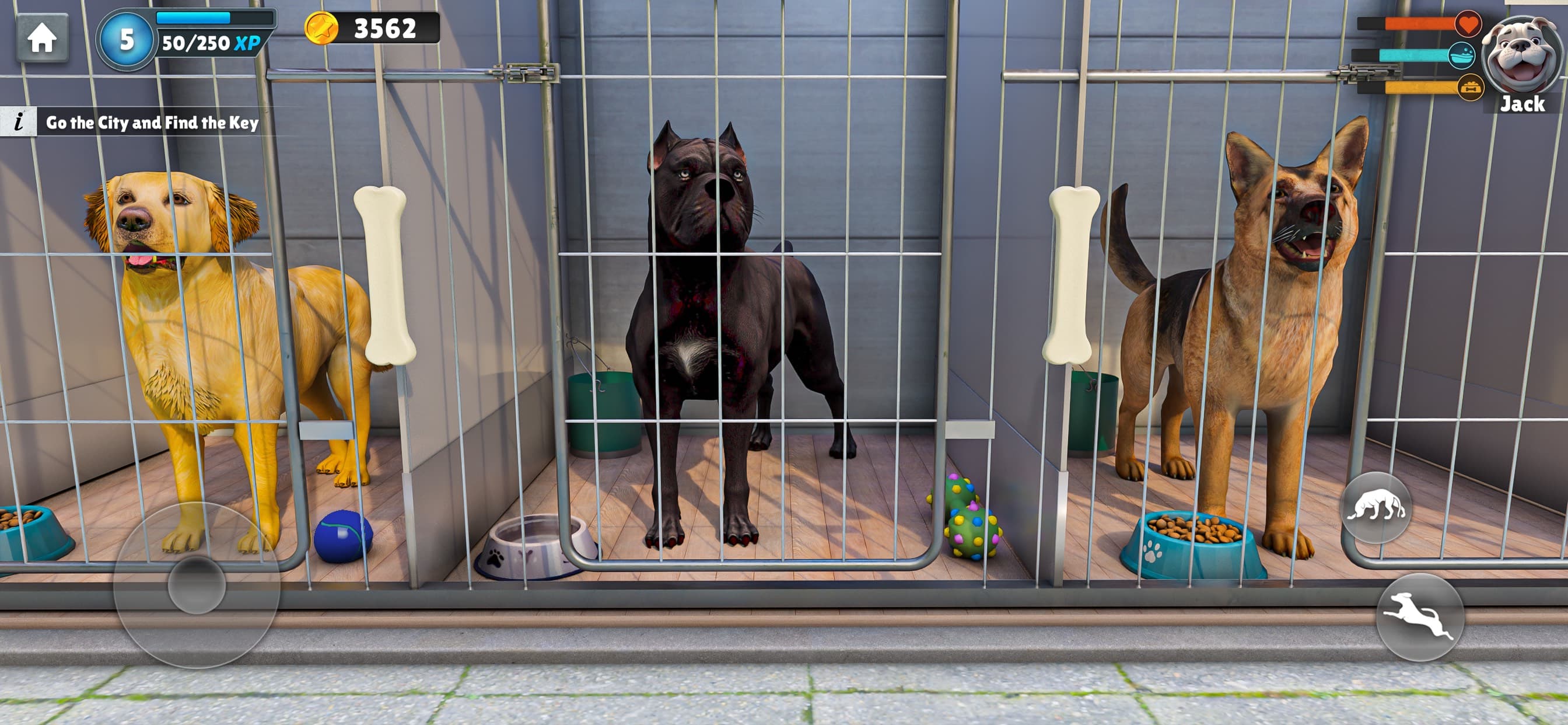 Dog Life: Animal Rescue Games screenshot 1 - screenshot