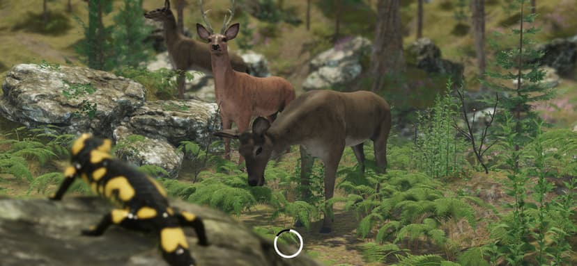 VR Zoo Animals Roller Coaster screenshot 4 - screenshot