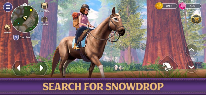 Star Equestrian - Horse Ranch screenshot 7 - screenshot