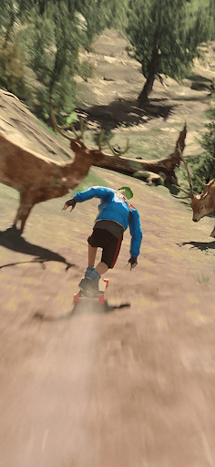 Downhill Racer screenshot 3 - screenshot