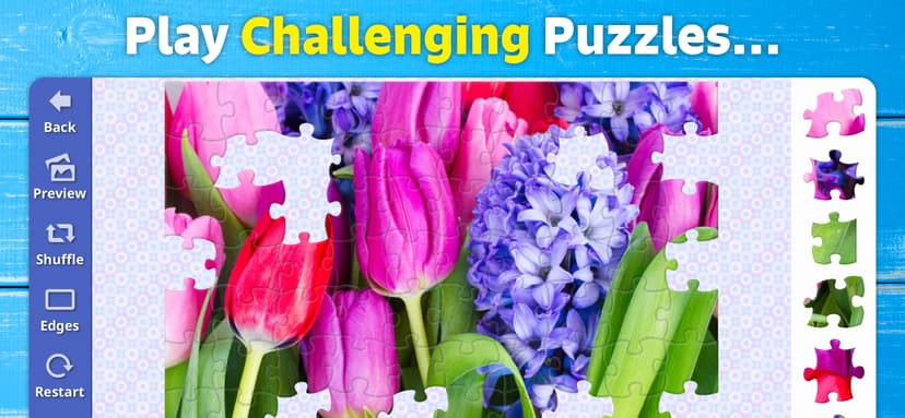 Jigsaw Bug: HD Puzzle Game screenshot 3 - screenshot