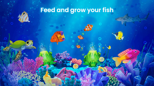Splash — Fish Aquarium screenshot 9 - screenshot