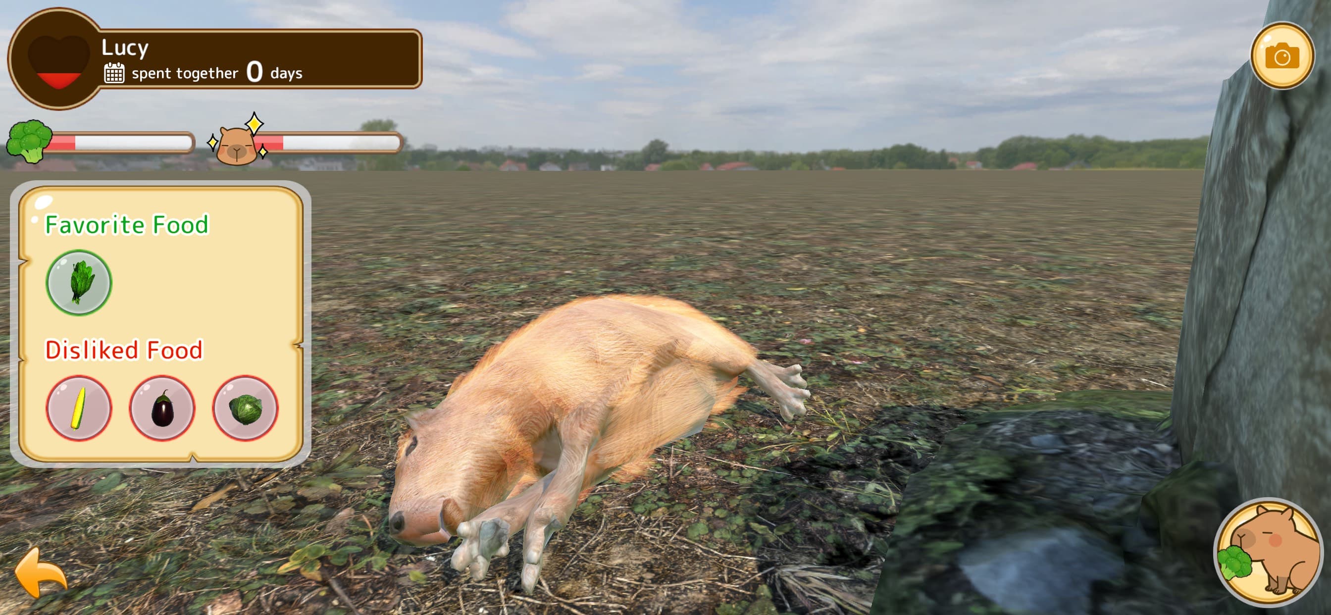 Capybara Spa screenshot 2 - screenshot