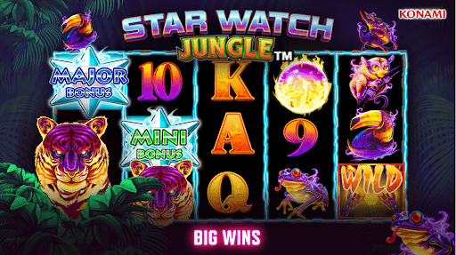 Choctaw Slots - Casino Games screenshot 3 - screenshot