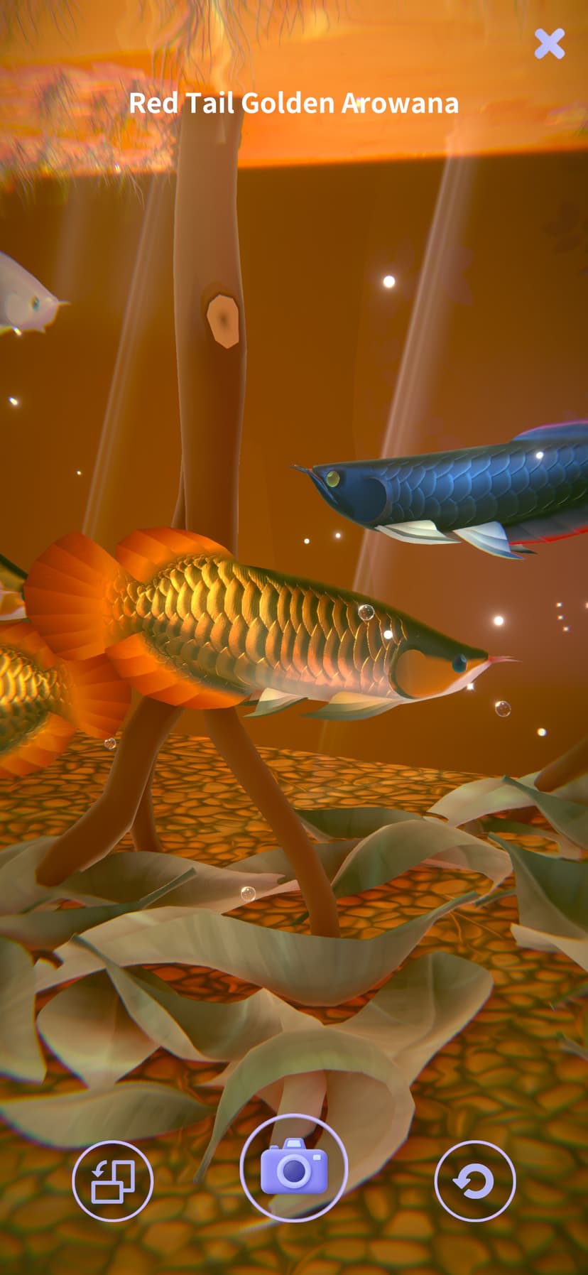 AQUALIA screenshot 6 - screenshot