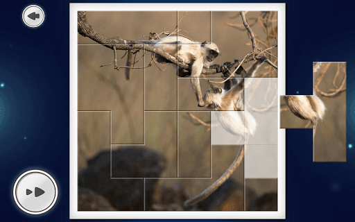 IMAGEine Premium screenshot 12 - screenshot