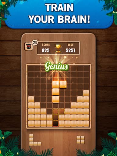 Wooden 100 Block Puzzle Game screenshot 8 - screenshot