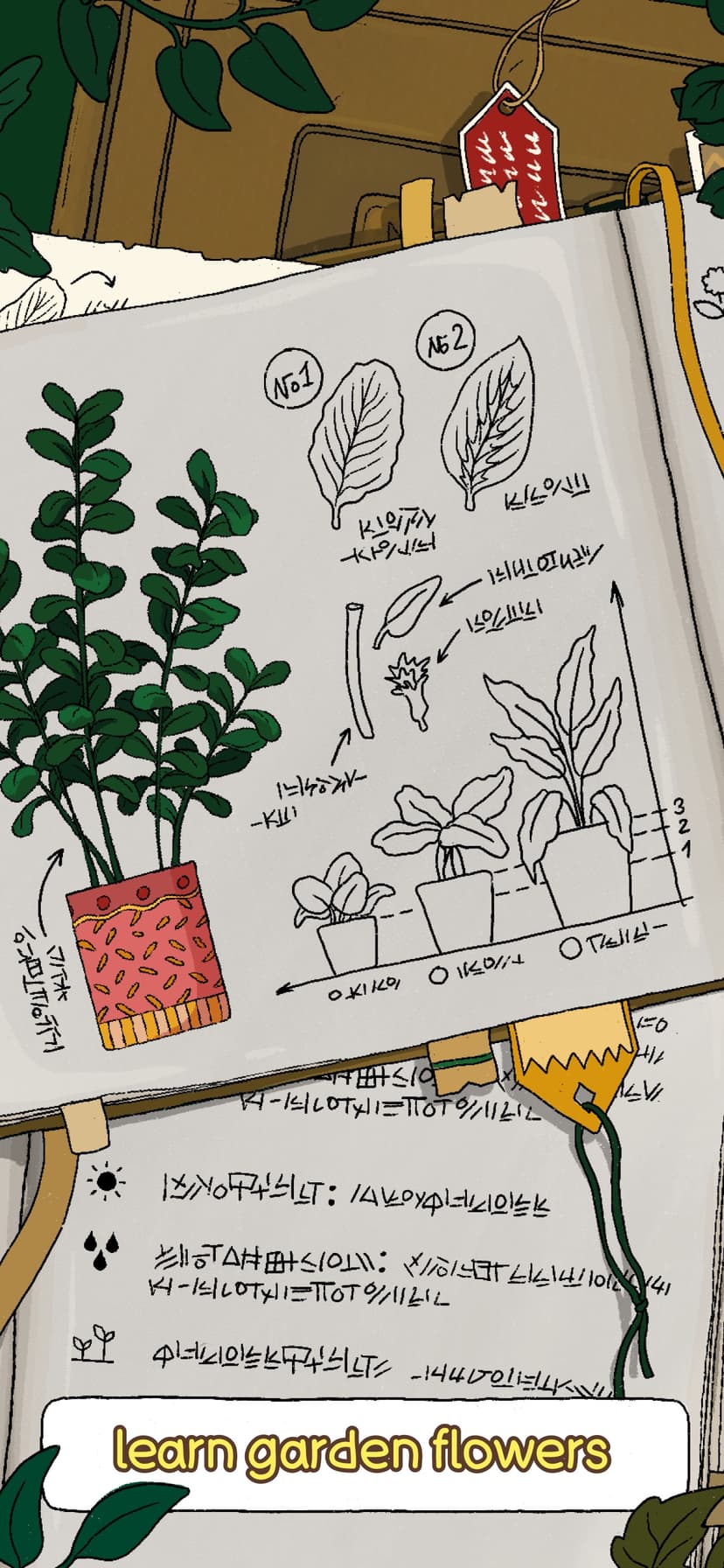 Home Garden Lulu & Terrarium screenshot 7 - screenshot