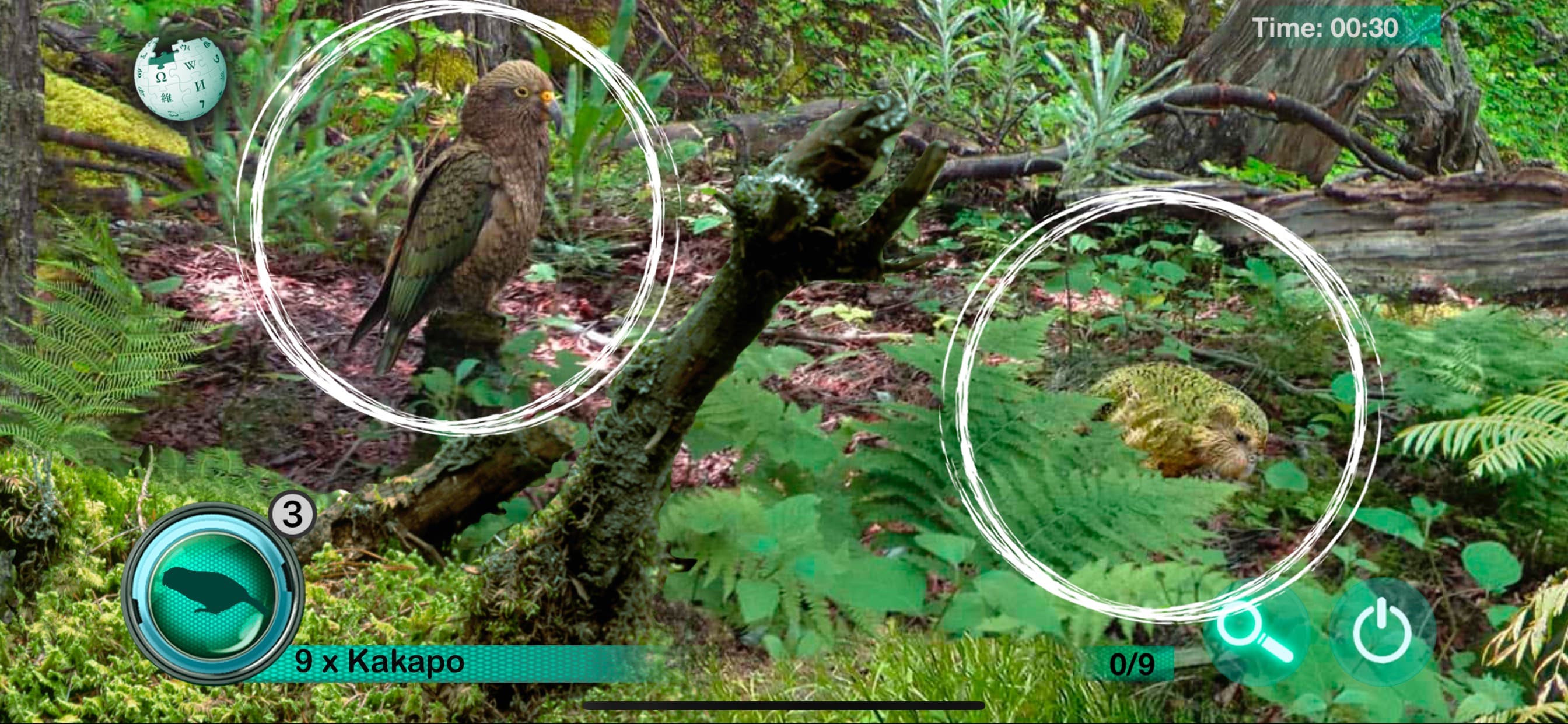 Hidden Animals: Seek and Find screenshot 4 - screenshot
