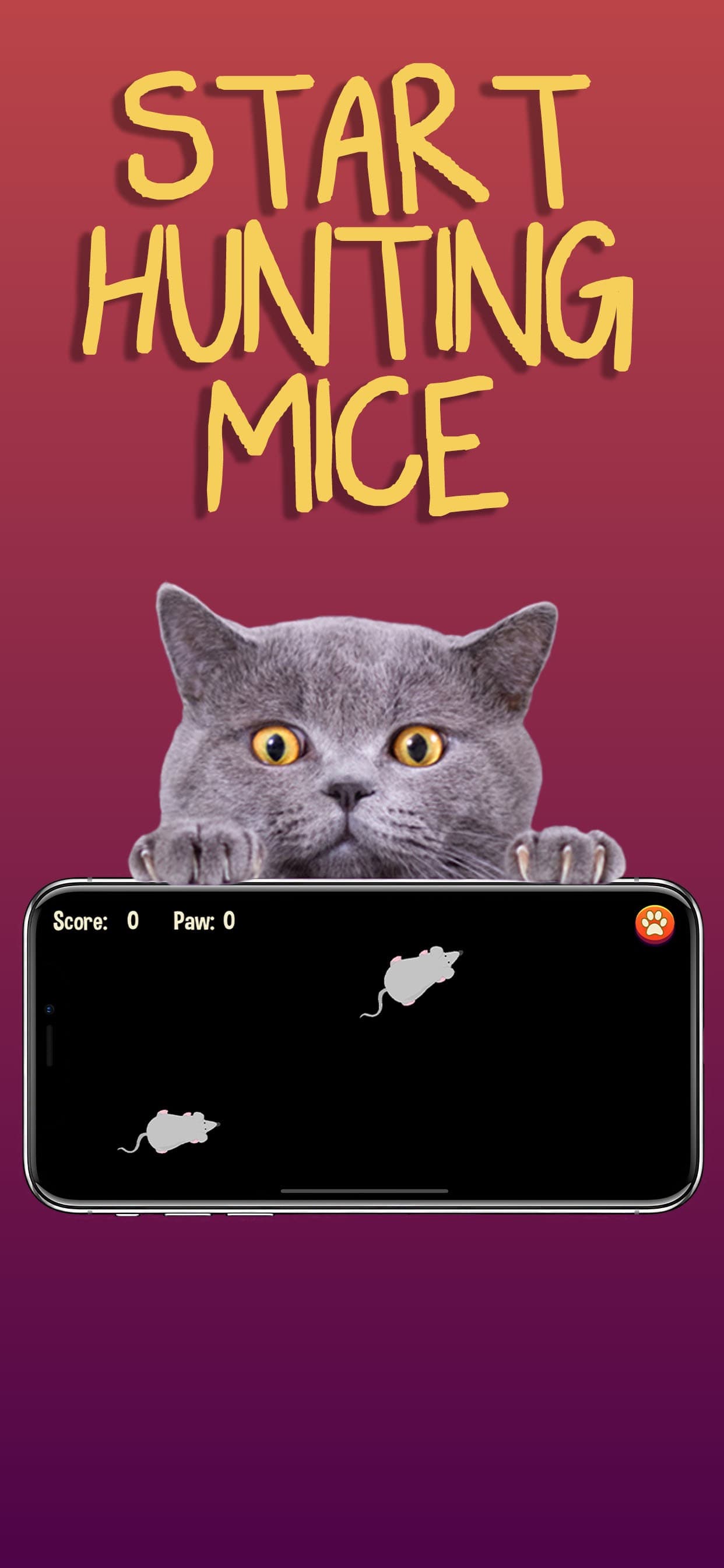 Cat Games screenshot 3 - screenshot