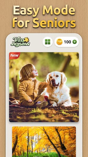 Vita Jigsaw for Seniors screenshot 7 - screenshot