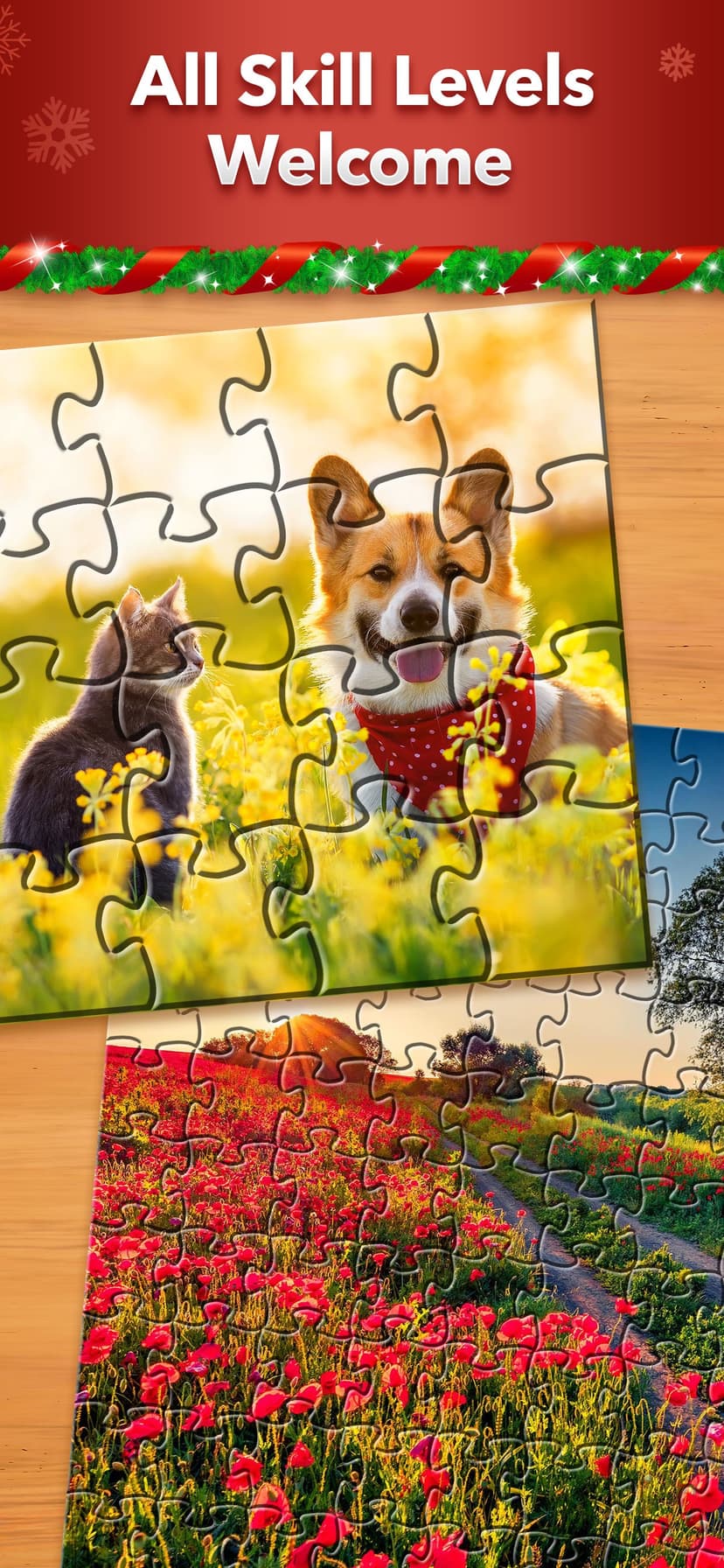 Jigsaw Puzzle Pro screenshot 6 - screenshot
