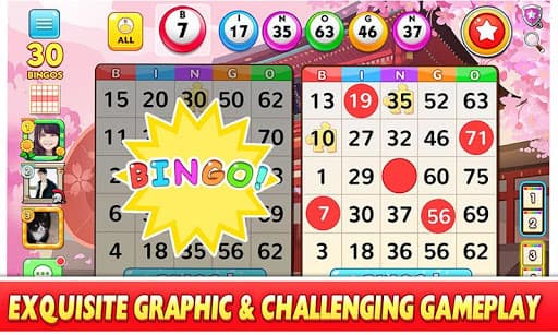 Bingo Win™: Classic Bingo Game screenshot 12 - screenshot