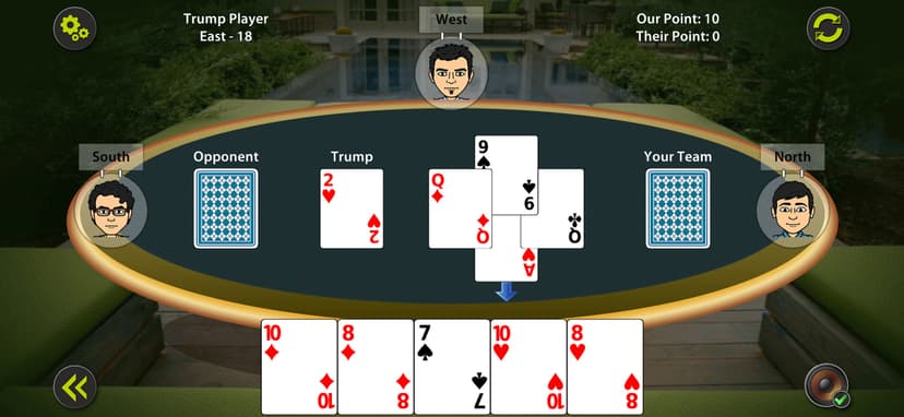 29 Card Game Pro screenshot 5 - screenshot