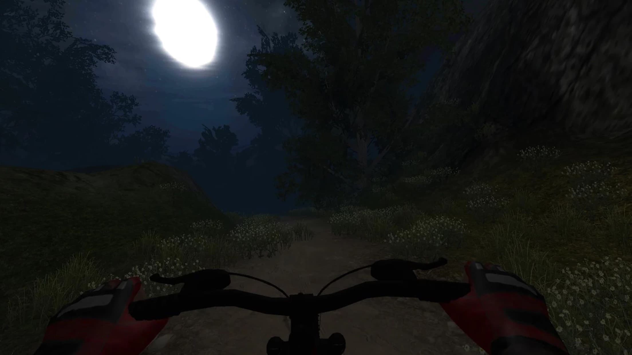 Mtb DownHill Bike: Multiplayer screenshot 3 - screenshot