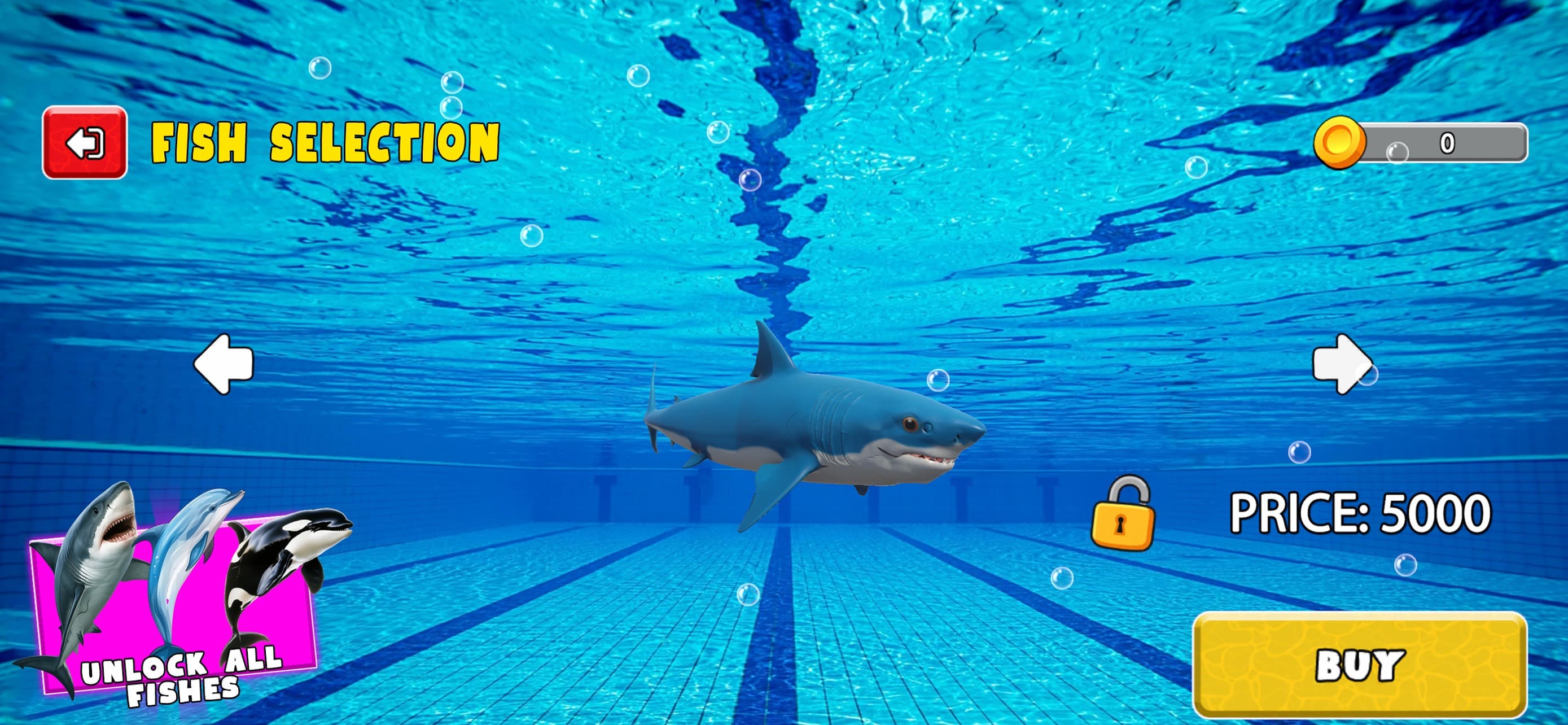 Dolphin & Shark Simulator Game screenshot 4 - screenshot