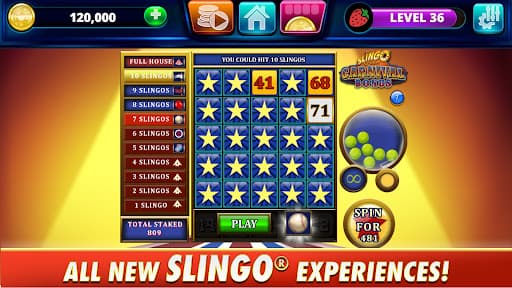 Slingo Arcade - Slots & Bingo screenshot 3 - screenshot