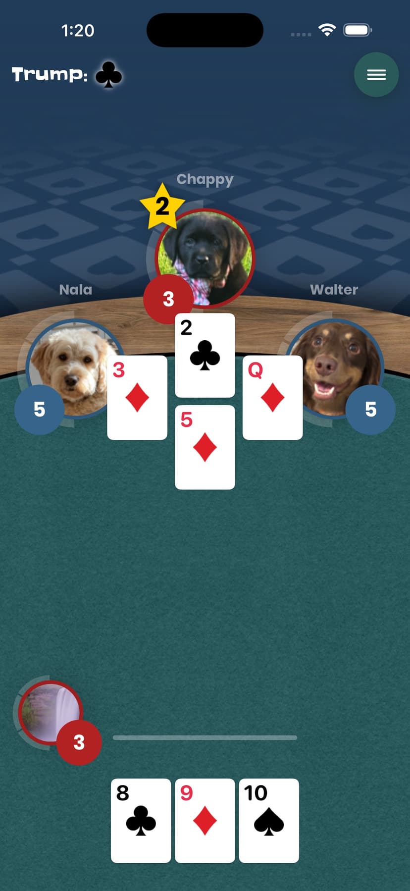 IPitch screenshot 2 - screenshot